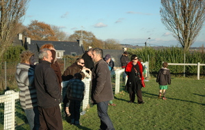 50bdedd01edf1_lanester-01-12-2012-de 9 (17).JPG